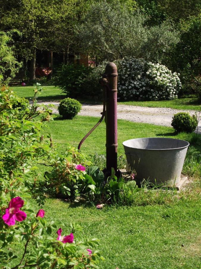 La Chaussee D'Olivet En Mayenne Eksteriør bilde
